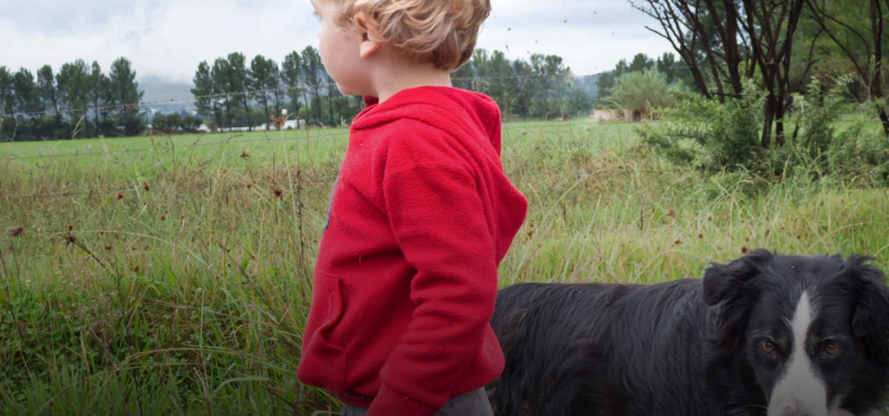 SimpliGO Disaster Preparedness Planner